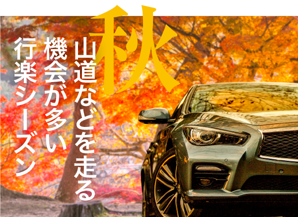サンプルイメージ