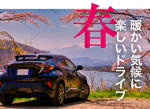 サンプルイメージ